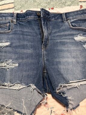 American Eagle Outfitters Light Blue Denim Shorts